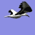 Animations - 272